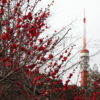 東京タワーと桃紅氏の作品