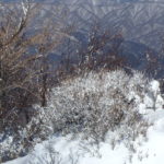 赤城山で雪景色を愉しむ